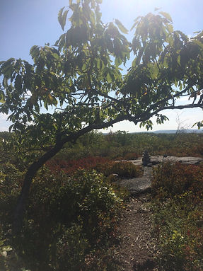 Dick and Nancy Eales Preserve.jpeg