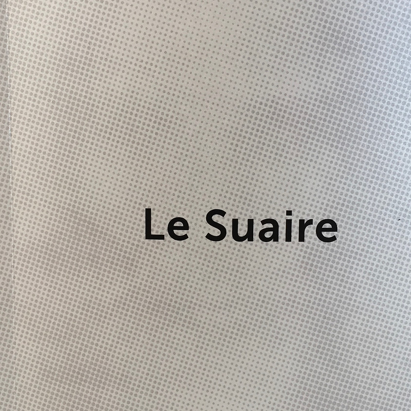 Le Suaire - Pierre Diener - Roman policier