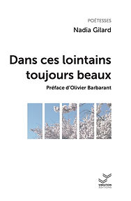 Couv Dans ces lointains.jpg