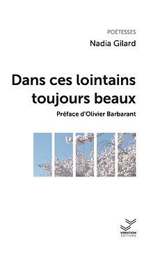Couv Dans ces lointains.jpg