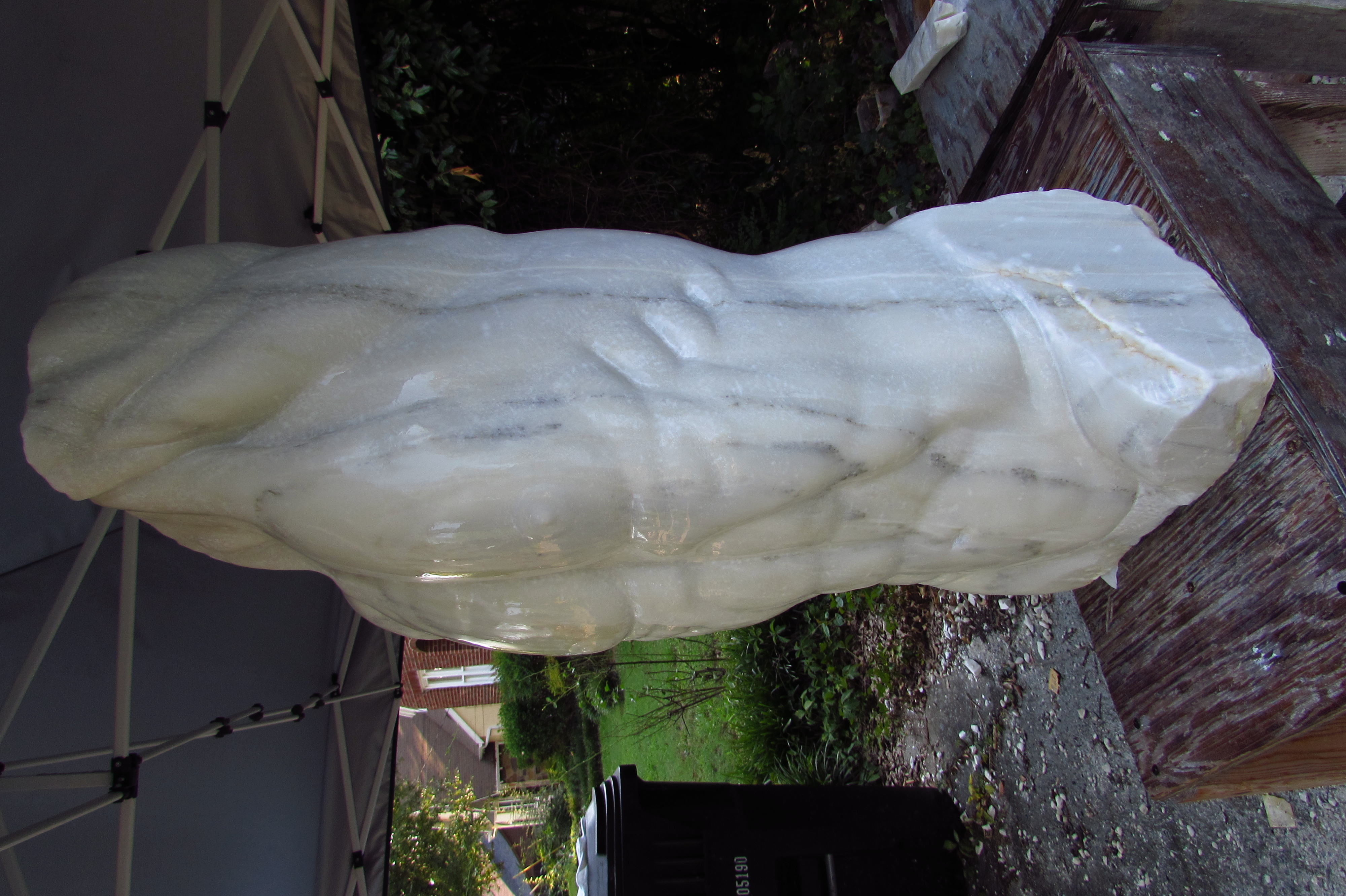 Leaping Torso