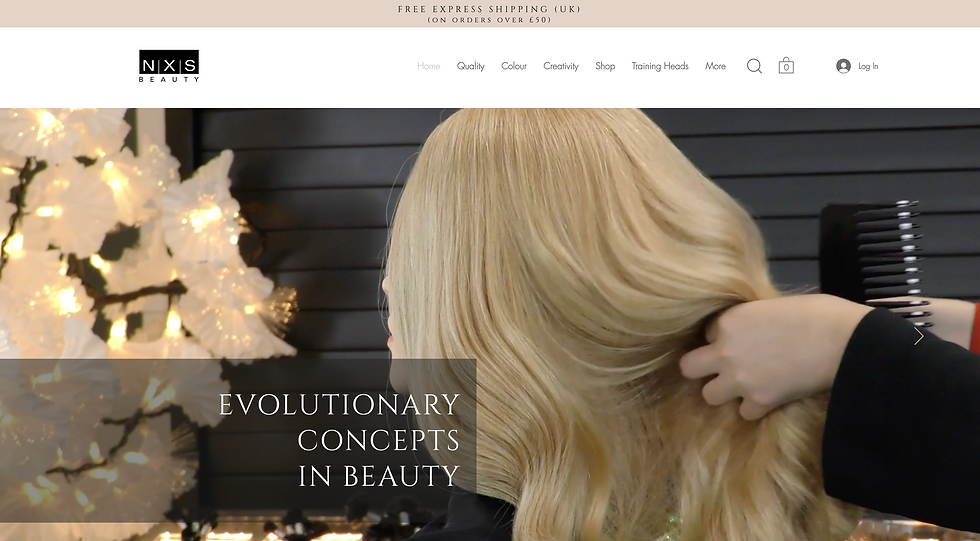 NXS Website Example 1