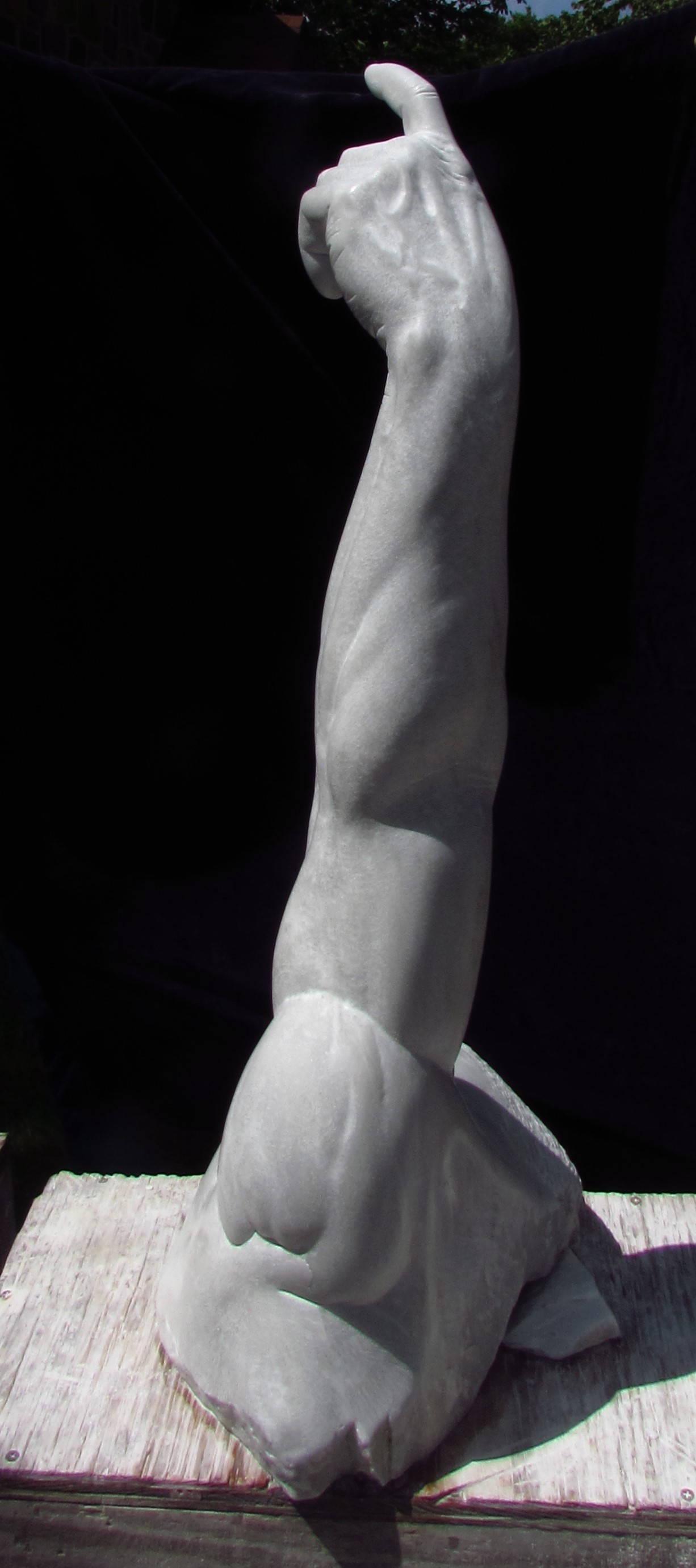 Adam's Arm