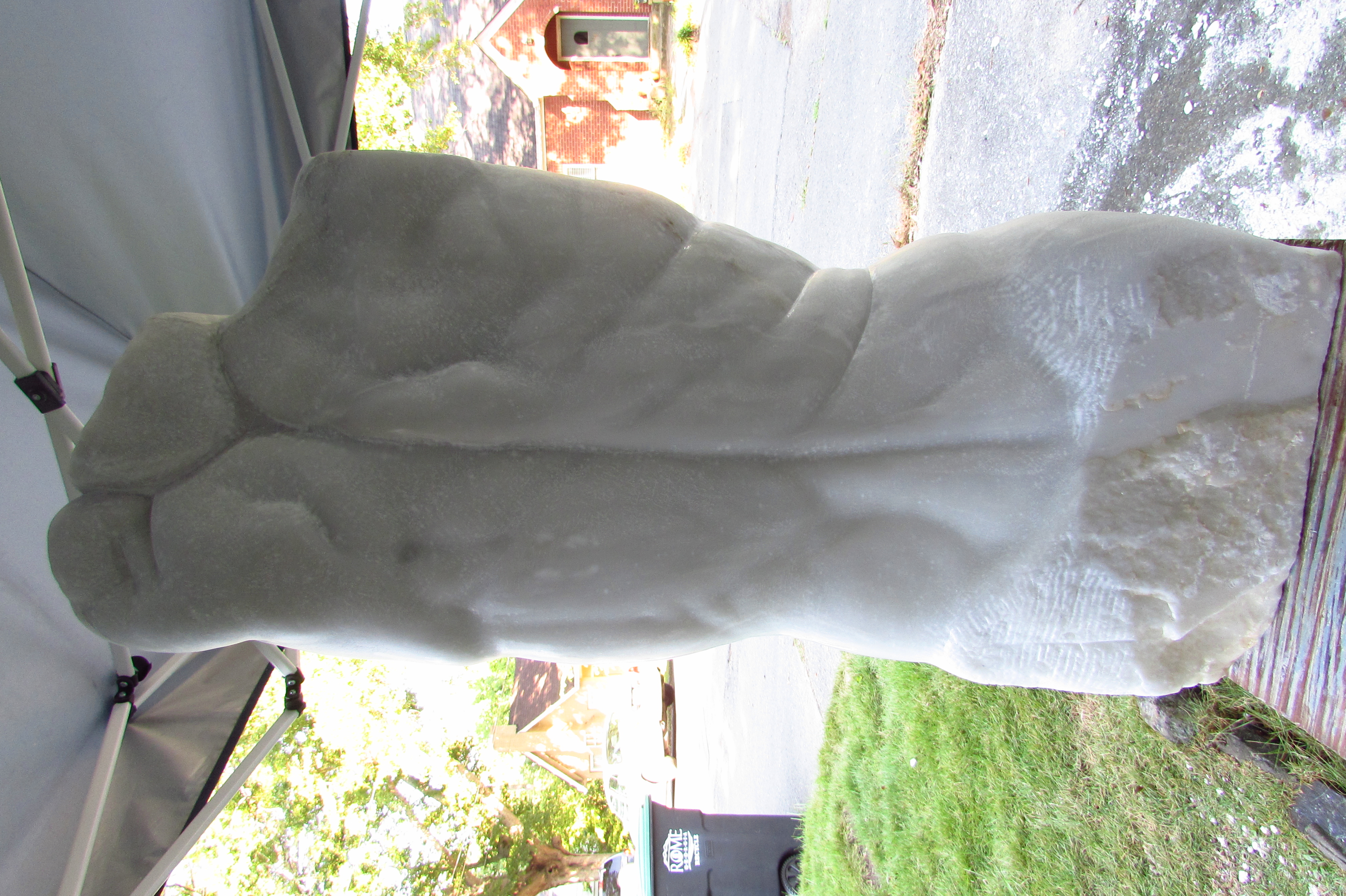 Leaping Torso