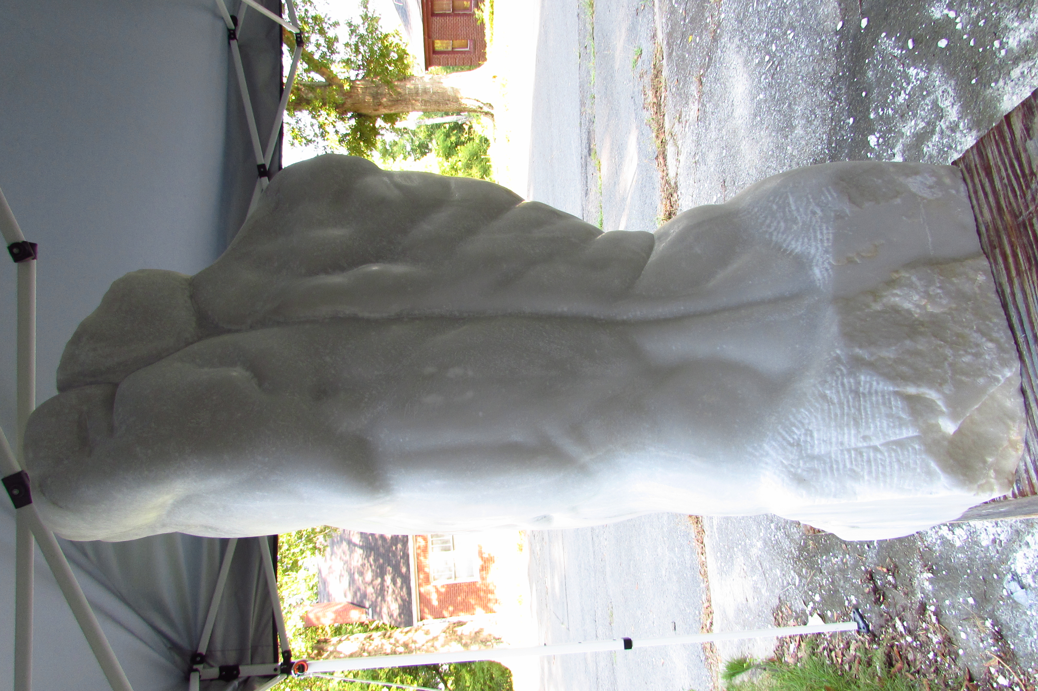 Leaping Torso