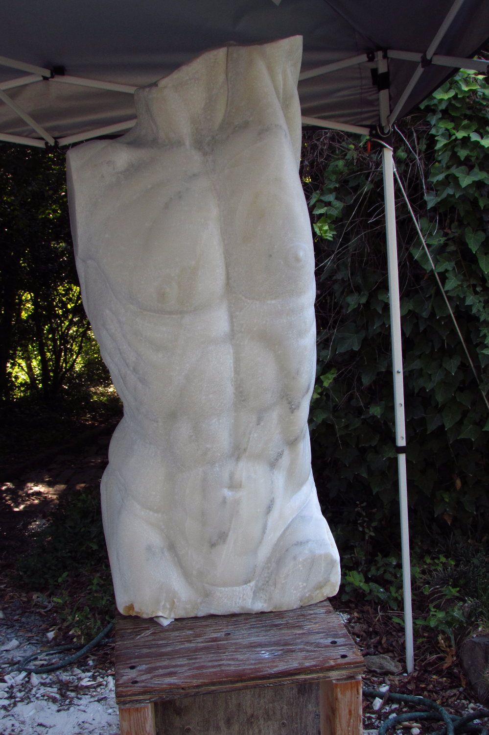 Leaping Torso