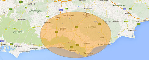 Near me tree surgeons