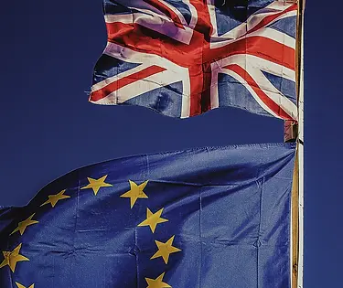 Anti-Brexit March in London, quite a few.webp