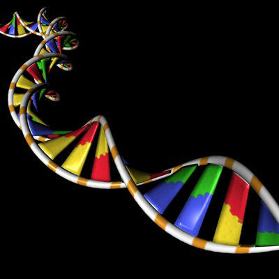 DNA2