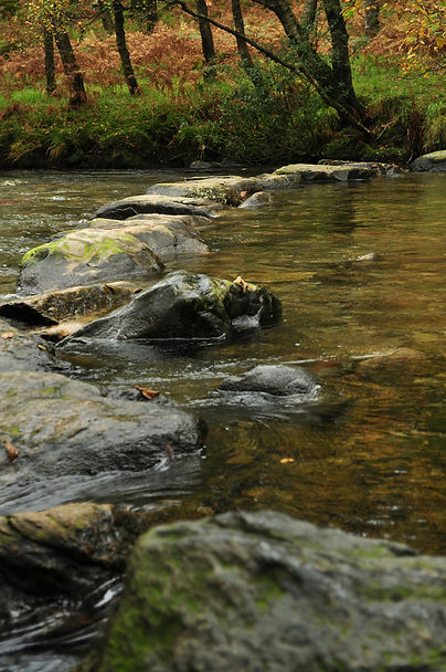 20119-Eskdale-N-DSC_2611.jpg
