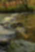 20119-Eskdale-N-DSC_2611_edited.jpg