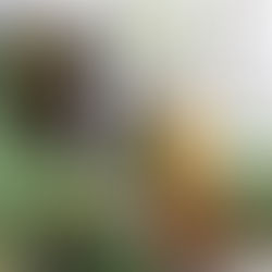 動線室內裝修設計有限公司 以設計舞出家園之美