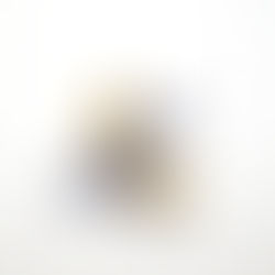 Editorial / Statemen 2023