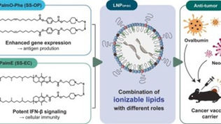 がんワクチン研究の論文が出版されました(東北大学秋田教授らとの共同研究)