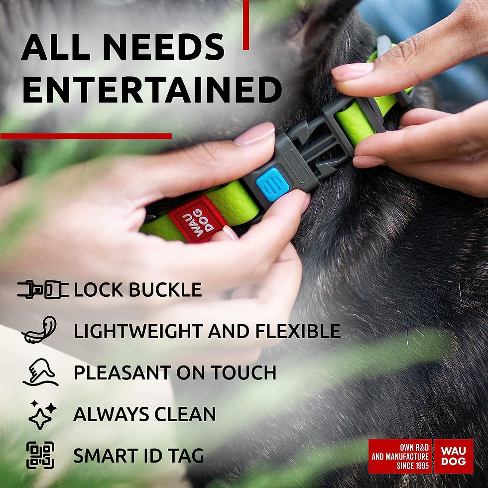 Thumbnail: Green Waterproof Dog Collar Adjustable for Medium Dogs 1016 in Neck x 4/5 in