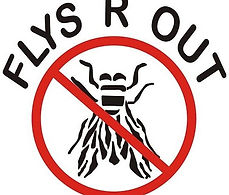 Flys R Out Logo ONLY 50% (1).jpg