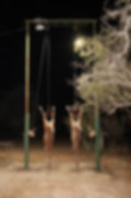 DSCF4110.JPG