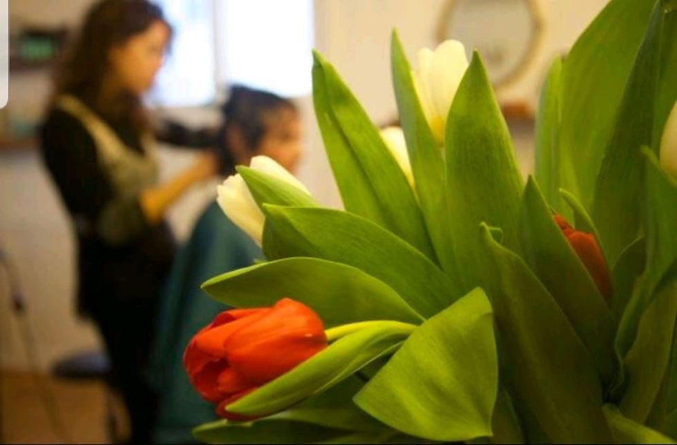 Blumen im Salon