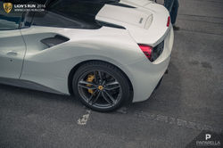 Lions_Run_summer_edition-2015_234