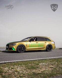 Lions_Run_summer_edition-north-2018_225-1 (1)