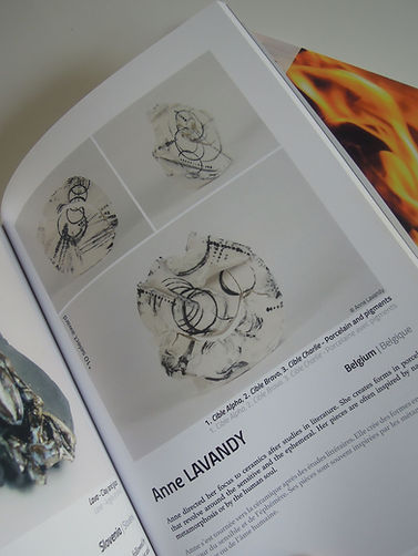 DSCN7241 Catalogue Vallauris 2017 redim 