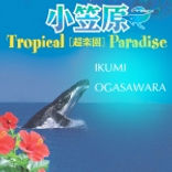CDと配信.jpeg