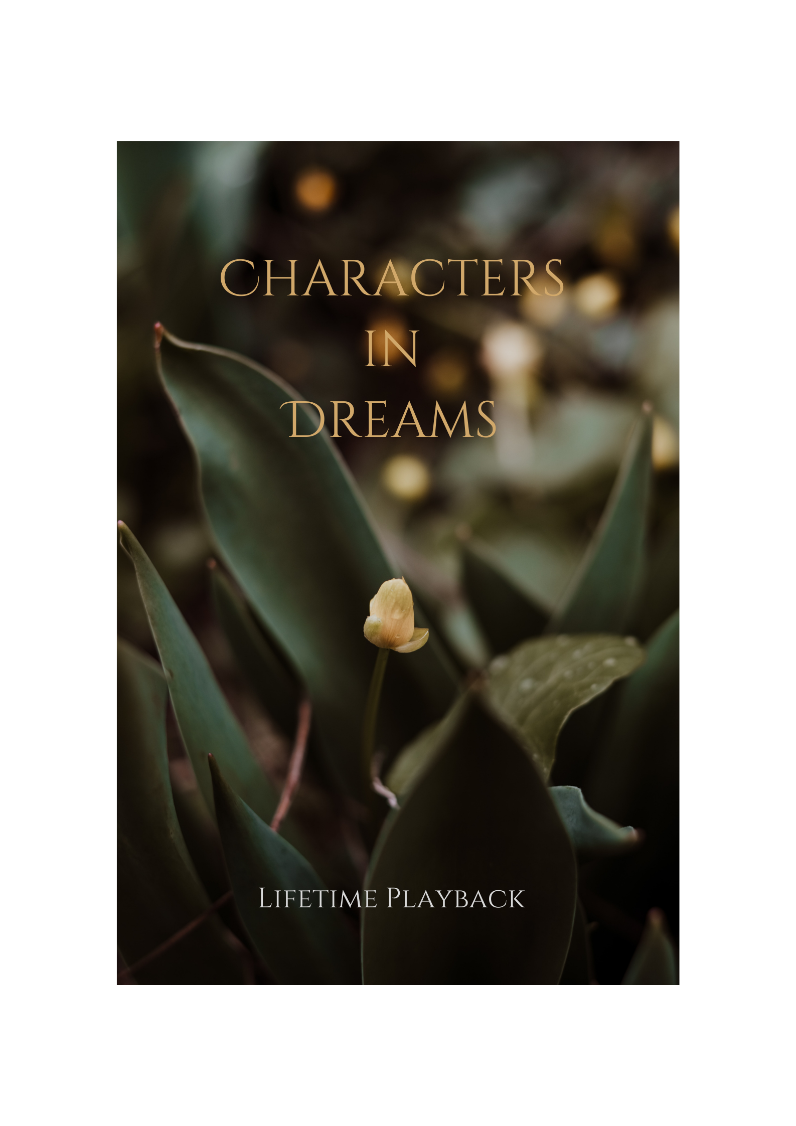 Characters in Dreams