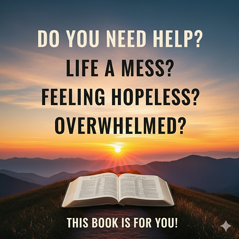 Open book on hill at sunset with text: "Do you need help? Life a mess? Feeling hopeless? Overwhelmed? This book is for you!"
