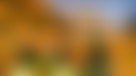 LIFE IS BETTER IN A HERD