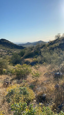 USA: Arizona
