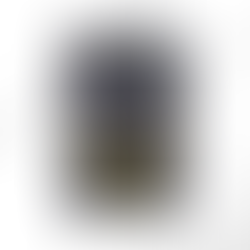 Court of Ravens and Ruin Book Review