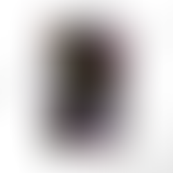 Filthy Rich Vampire Book Review