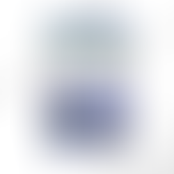 Obsession Falls Book Review