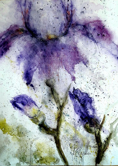 Peinture Iris