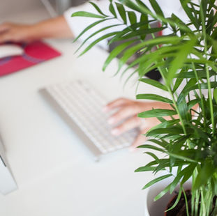 Comment choisir son télésecrétariat ?