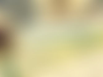 Discovering Travel Insurance: A Comprehensive Guide