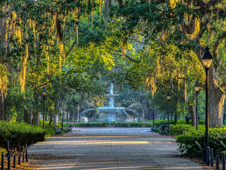 Discover the Enchanting Charm and Historic Districts of Savannah with Our 2025 Travel Guide