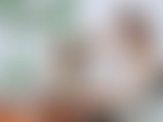 Top 10 Host Travel Agencies for Independent Agents