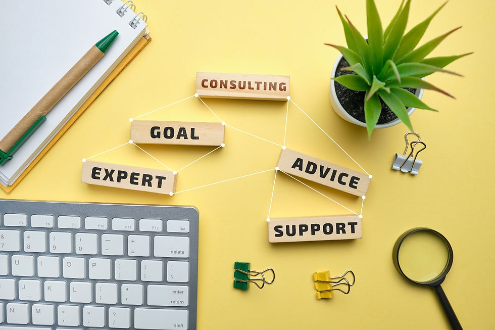 Consulting, goal, expert, support