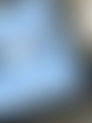 Elevating Success: Developing Niche Market Expertise as a Travel Agent