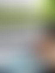 Financial Planning and Budget Management for Travel Agencies