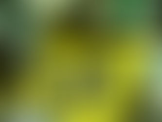 Scam Awareness: 10 Tips for Protecting Clients Overseas