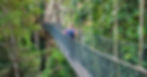Person with a backpack walks on a rope bridge through lush green trees, creating an adventurous mood in a dense forest setting.