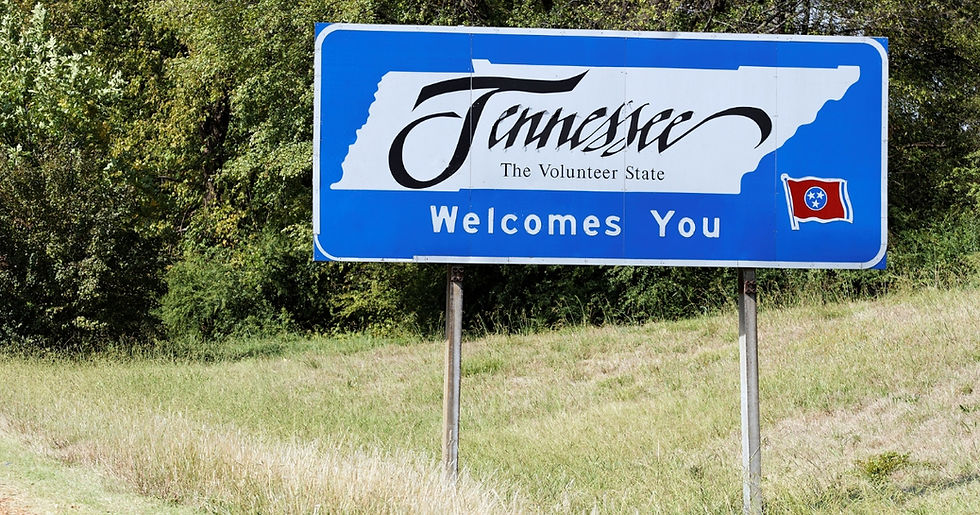 Blue sign reads "Tennessee Welcomes You" with flag, set against a backdrop of green trees and grass. Calm, inviting mood.