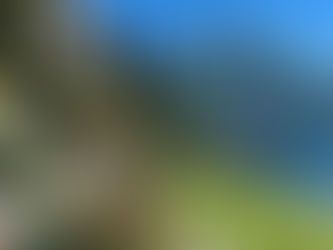 Lake Como by N Rahman