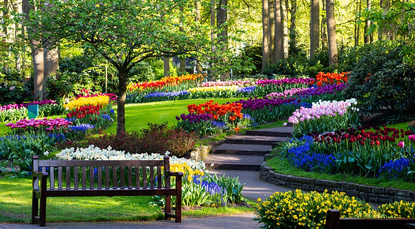 floriade-2022.jpeg