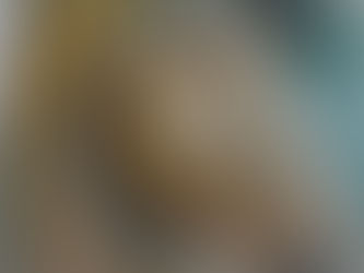 Horse 1