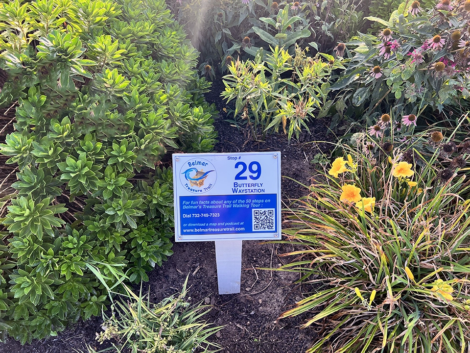 Belmar Treasure Trail - Butterfly Garden At Ferruggiaro Park