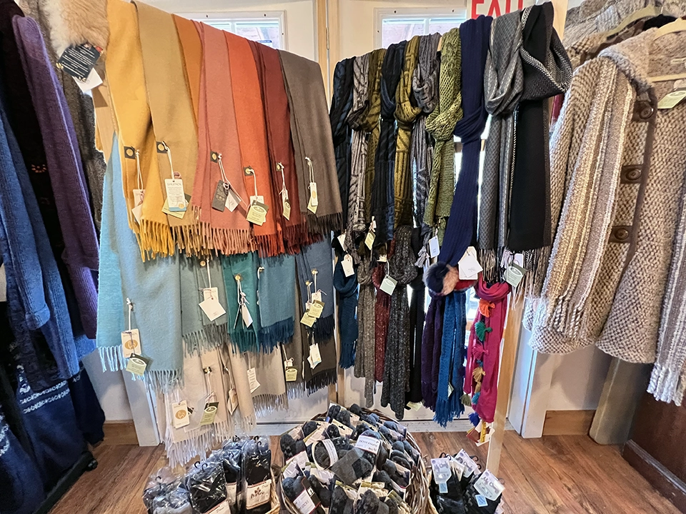 Arrow Acres Alpaca Farm | Wall NJ