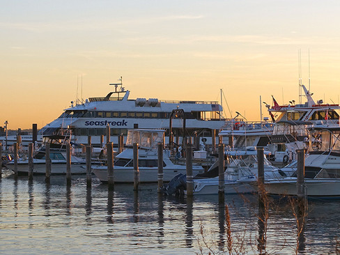 Seastreak Ferry Atlantic Highlands NJ